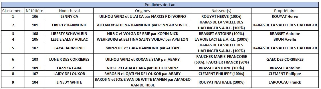 Championnat de France Haflinger elevage 1 an